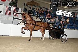 07R14_0295 proof