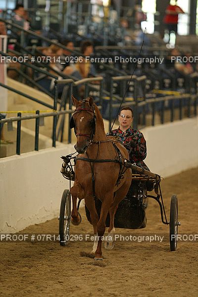 Proof 07R14_0296