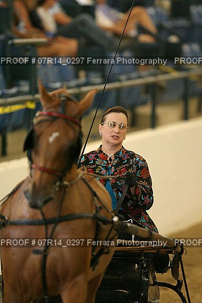 Proof 07R14_0297