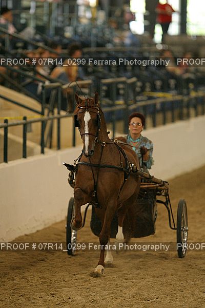 Proof 07R14_0299