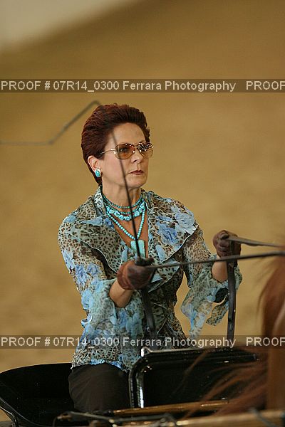 Proof 07R14_0300