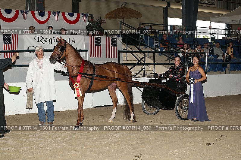 Proof 07R14_0301
