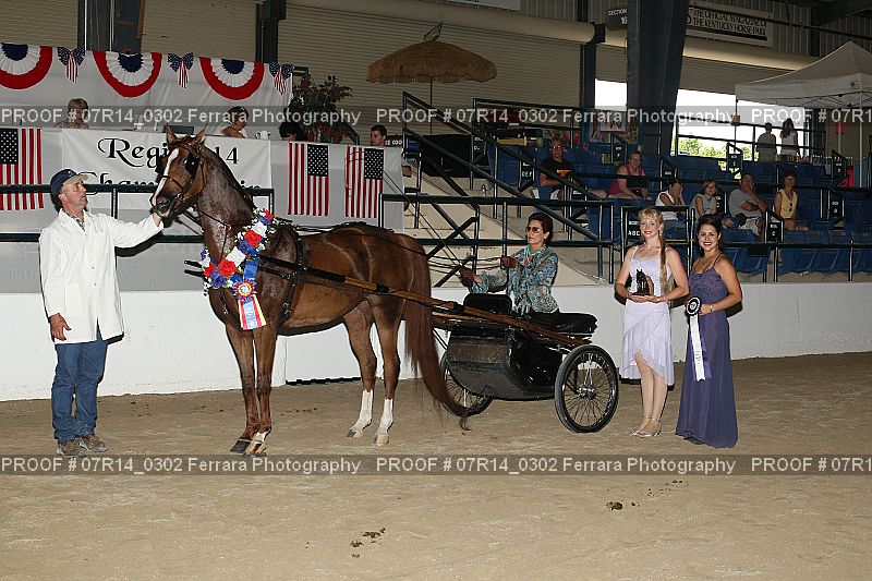Proof 07R14_0302