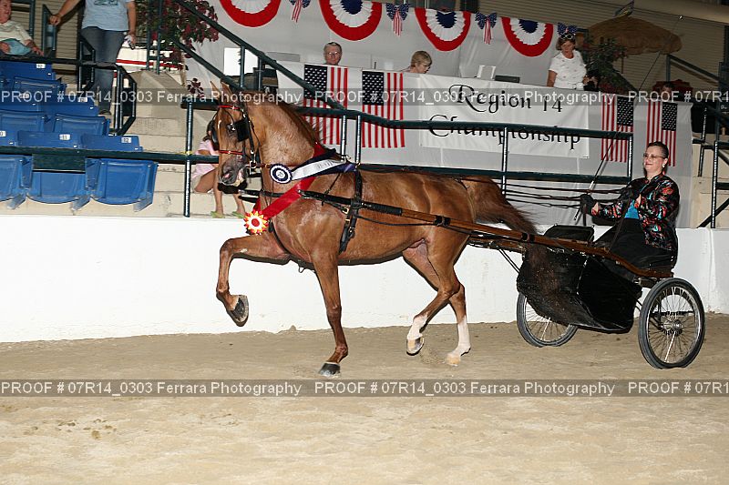 Proof 07R14_0303
