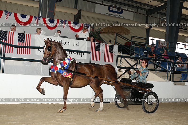 Proof 07R14_0304