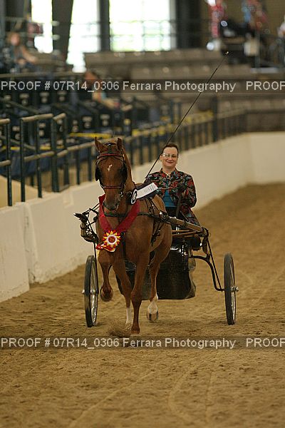 Proof 07R14_0306
