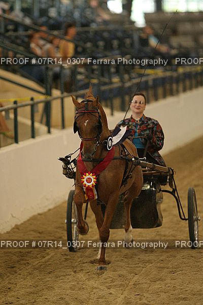 Proof 07R14_0307