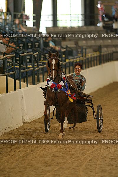 Proof 07R14_0308