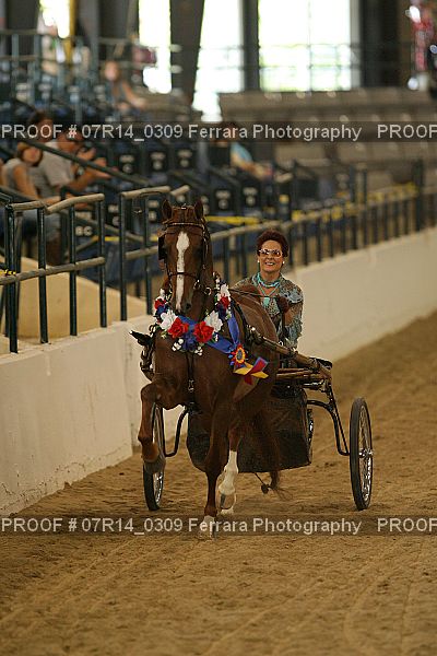 Proof 07R14_0309
