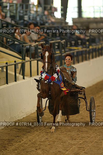 Proof 07R14_0310