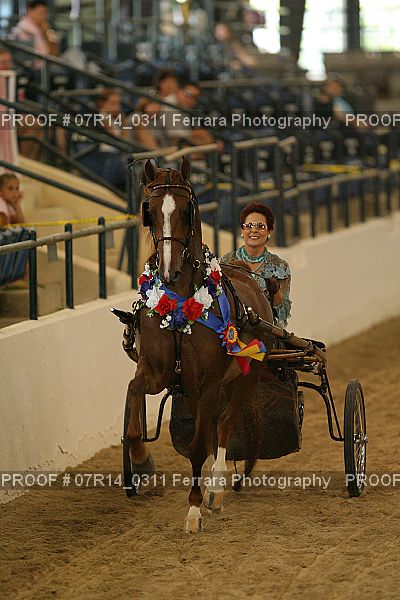 Proof 07R14_0311