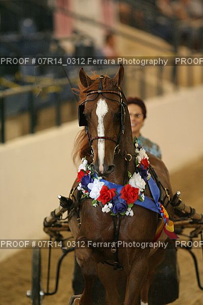 Proof 07R14_0312