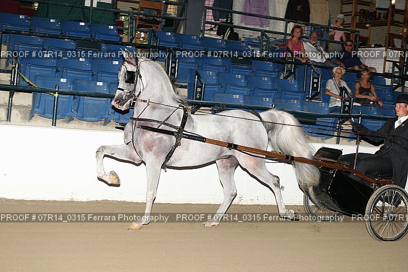 Proof 07R14_0315