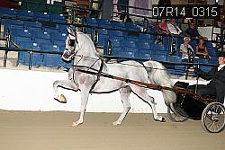 07R14_0315 proof
