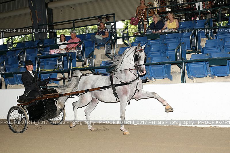Proof 07R14_0317