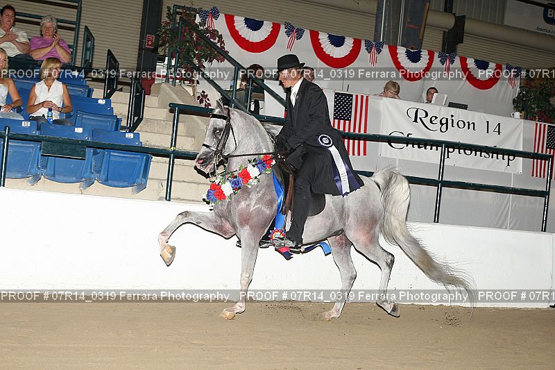 Proof 07R14_0319