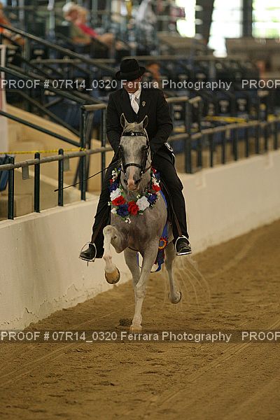 Proof 07R14_0320