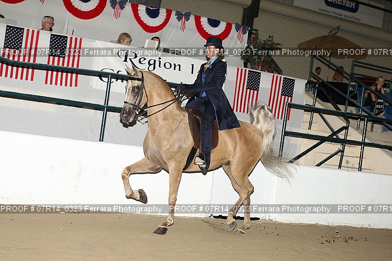 Proof 07R14_0323