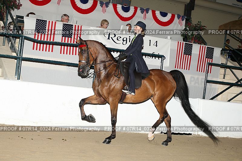 Proof 07R14_0324