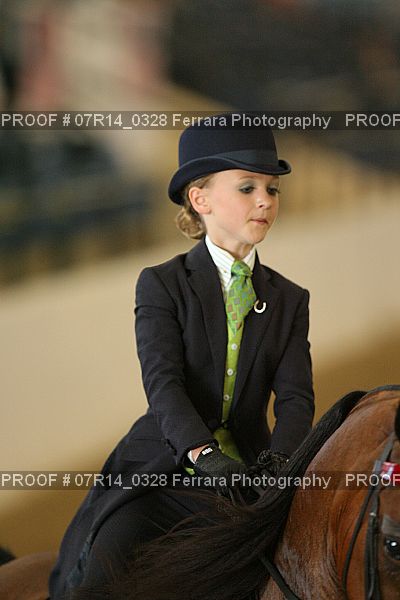Proof 07R14_0328