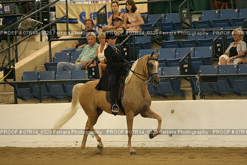 Proof 07R14_0329