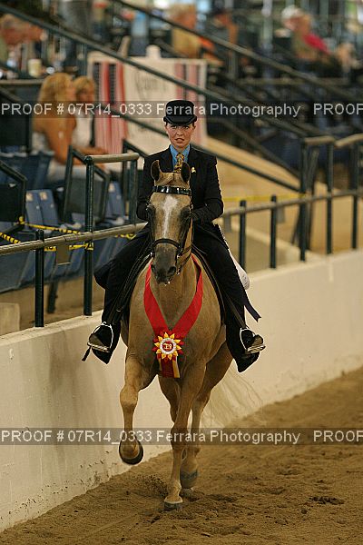 Proof 07R14_0333