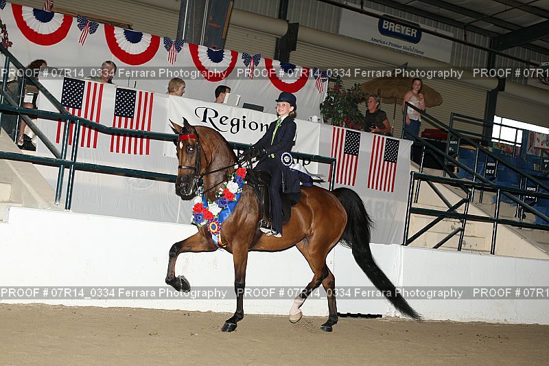Proof 07R14_0334