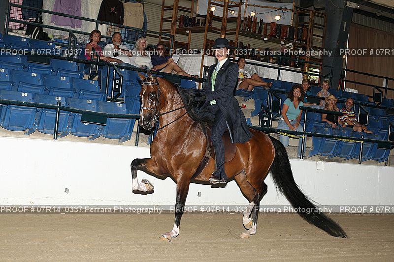 Proof 07R14_0337
