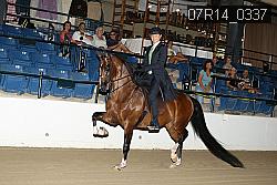 07R14_0337 proof