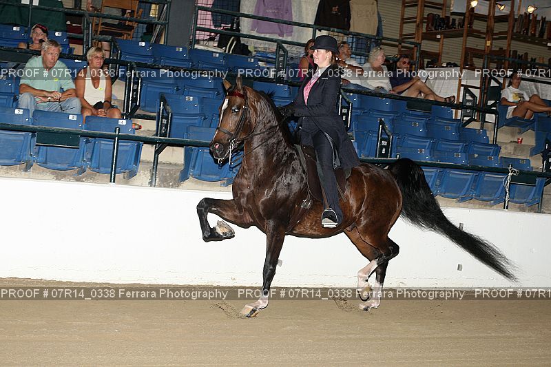 Proof 07R14_0338