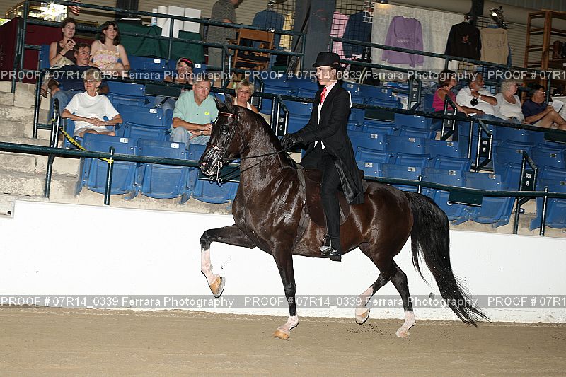Proof 07R14_0339