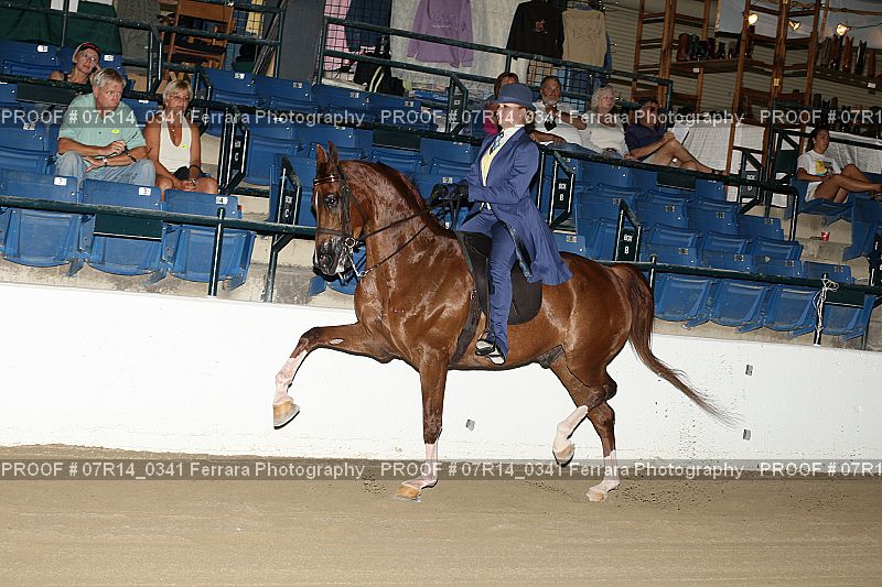 Proof 07R14_0341