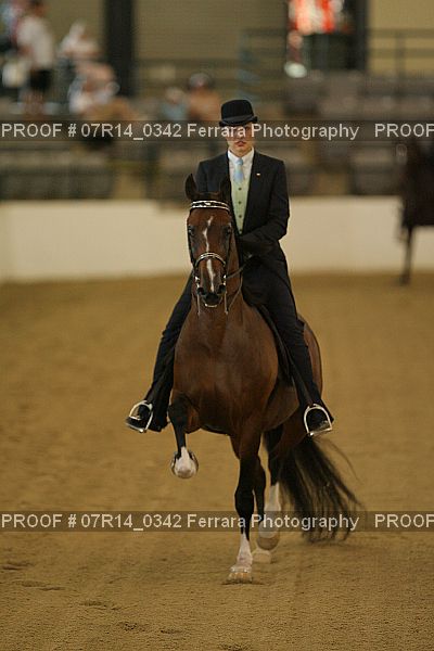 Proof 07R14_0342