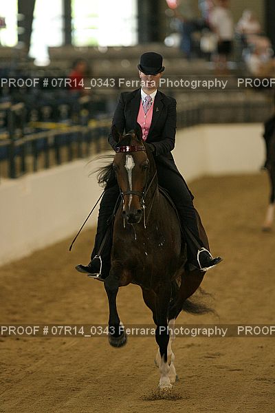 Proof 07R14_0343