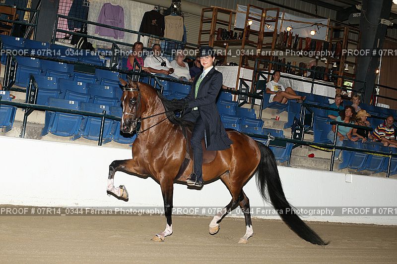 Proof 07R14_0344