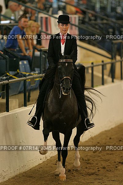 Proof 07R14_0345