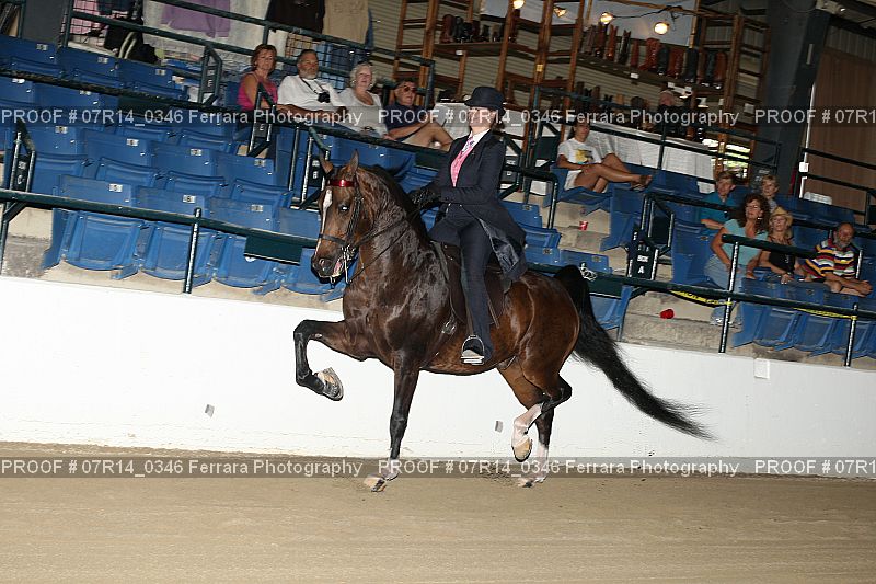 Proof 07R14_0346