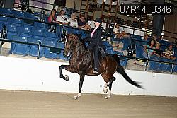 07R14_0346 proof