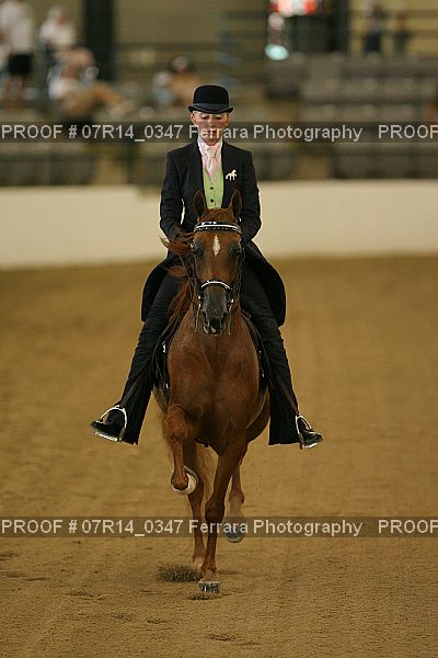 Proof 07R14_0347