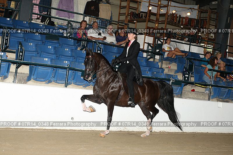 Proof 07R14_0348