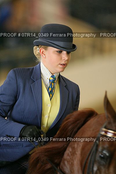Proof 07R14_0349