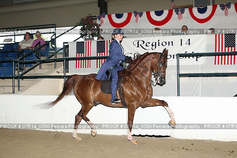 Proof 07R14_0350