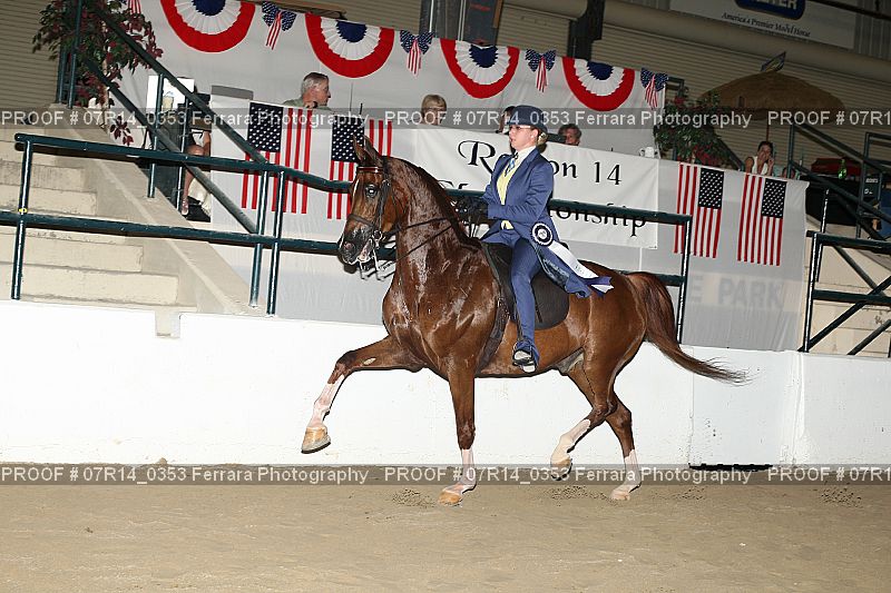 Proof 07R14_0353