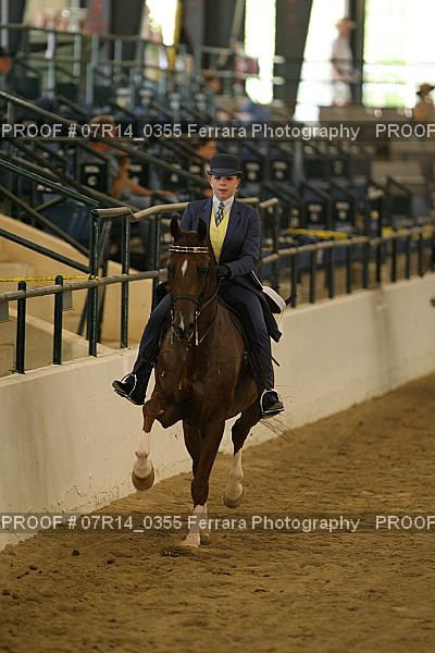 Proof 07R14_0355