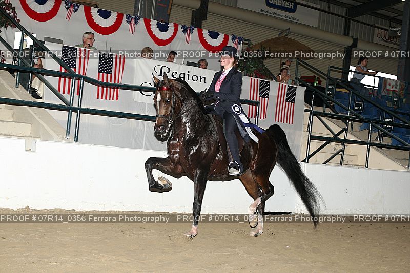 Proof 07R14_0356