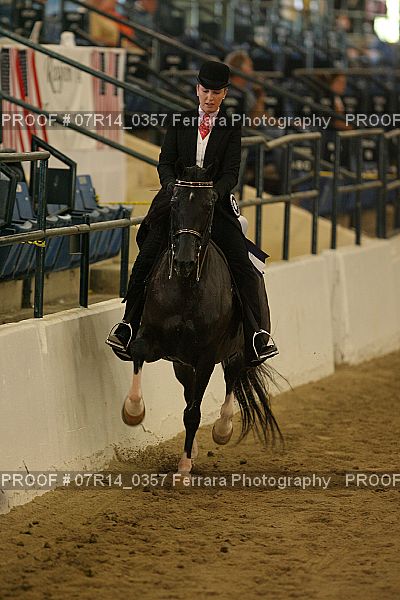 Proof 07R14_0357