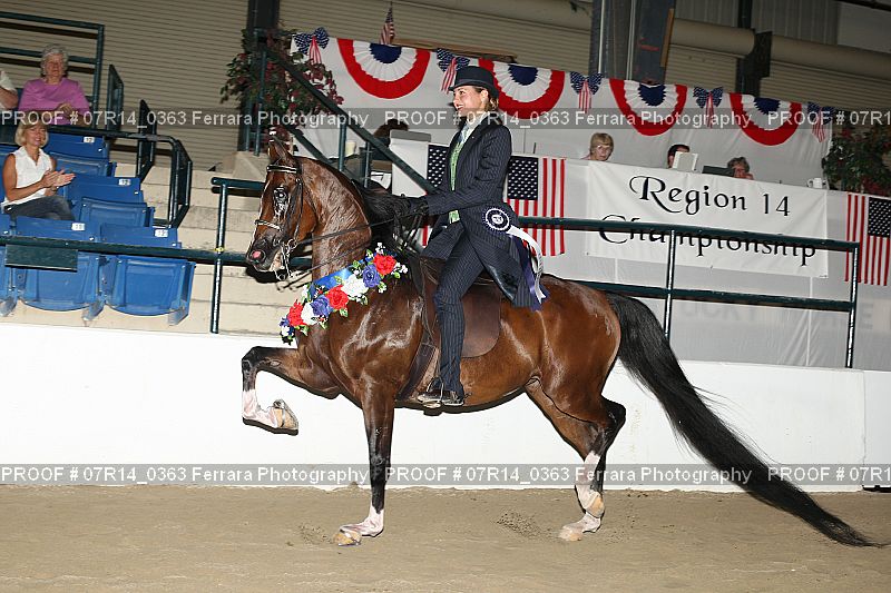 Proof 07R14_0363