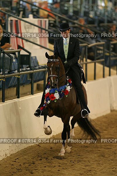 Proof 07R14_0364