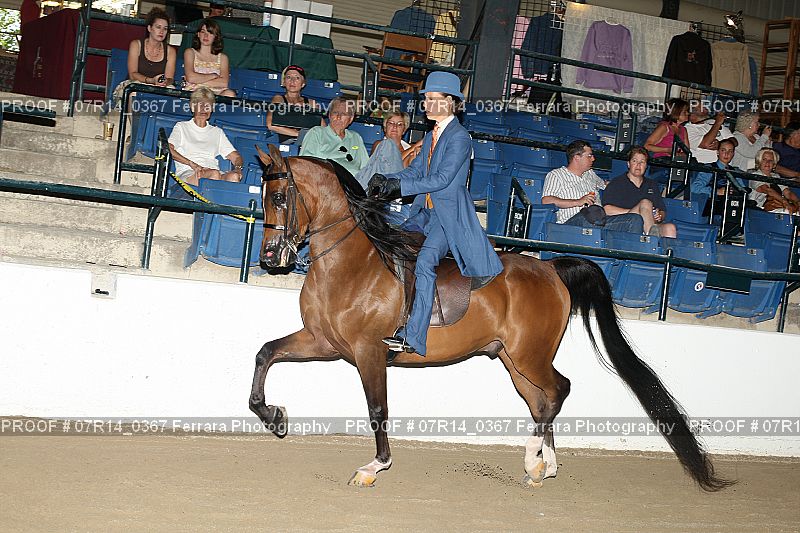 Proof 07R14_0367