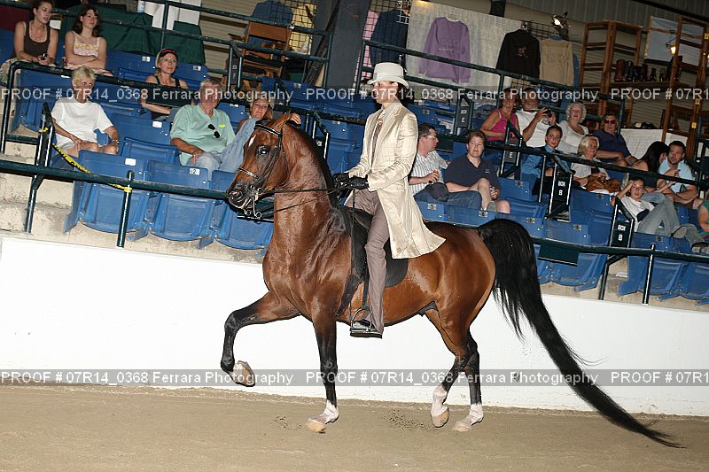 Proof 07R14_0368